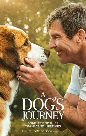 فيلم A Dog's Journey 2019 مترجم - باهي فيلم