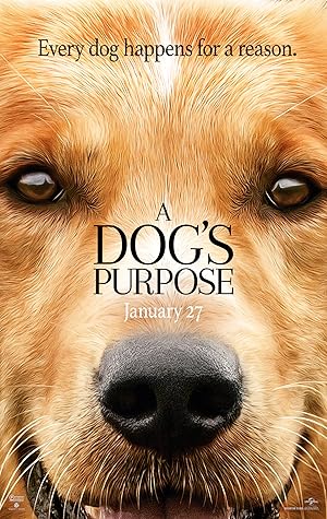 فيلم A Dog's Purpose 2017 مترجم - باهي فيلم