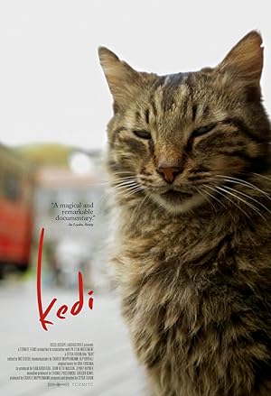 فيلم Kedi 2016 مترجم