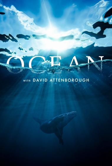 فيلم Ocean with David Attenborough 2025 مترجم