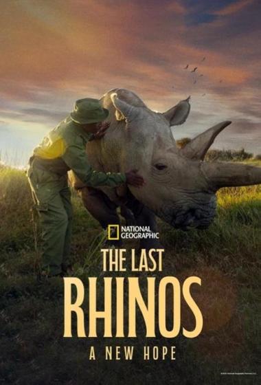 فيلم The Last Rhinos: A New Hope 2025 مترجم - باهي فيلم