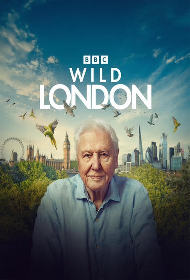 فيلم Wild London 2026 مترجم